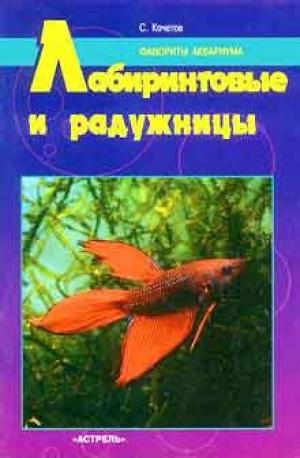 Лабиринтовые и радужницы