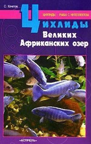 Цихлиды великих америкнских озер