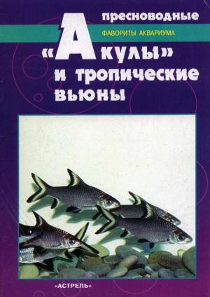 Пресноводные "акулы" и тропические вьюны