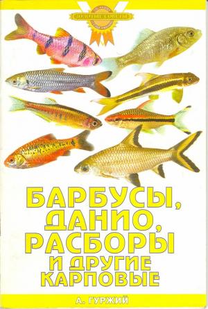 Барбусы, данио, расборы и другие карповые