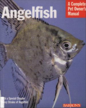 Angelfish