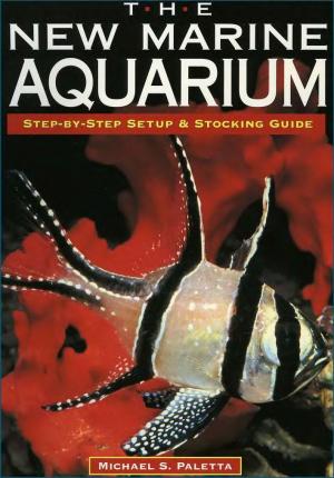 The New Marine Aquarium