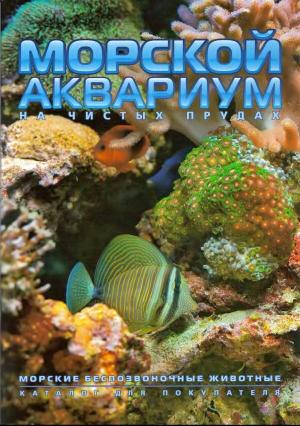 Морской аквариум на Чистых прудах