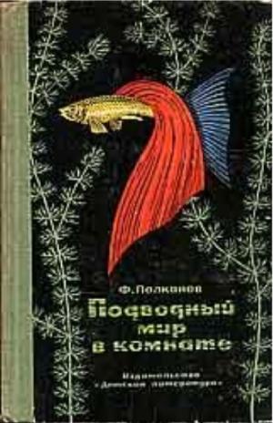 Подводный мир в комнате