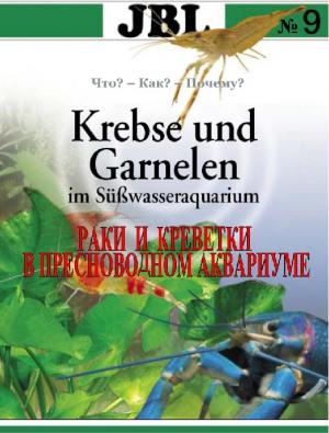Раки и креветки в пресноводном аквариуме