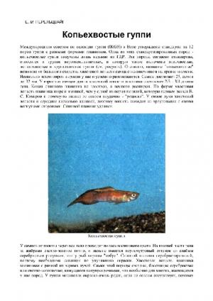 Копьехвостые гуппи (статья)