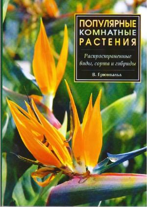 Популярные комнатные растения