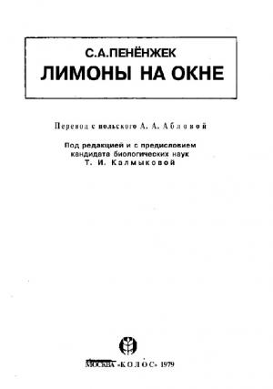 Лимоны на окне