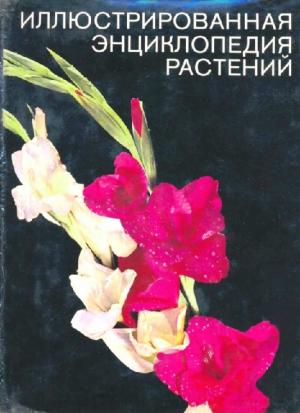 Иллюстрированная энциклопедия растений