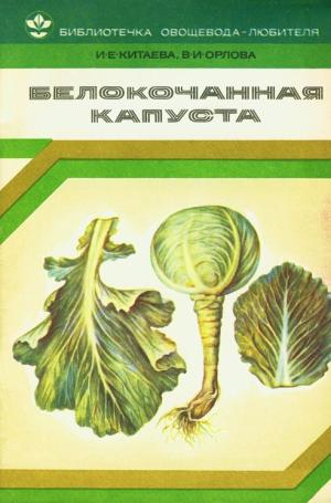 Белокочанная капуста
