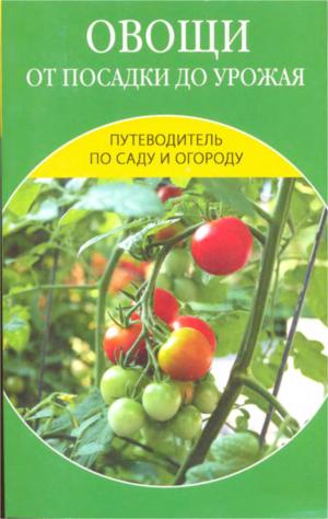 Овощи от посадки до урожая: сбор, хранение, переработка