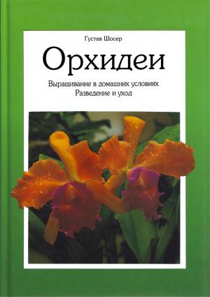 Орхидеи. Выращивание в домашних условиях. Разведение и уход